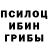 Псилоцибиновые грибы мухоморы Tatiana California