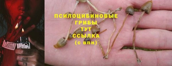 мескалин Арсеньев